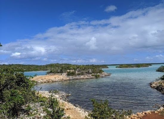turks-and-caicos-islands/turtle-cove-marina/landmark/sea-jay-cruises