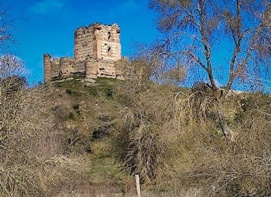spain/madrid/landmark/castillo-de-aulencia