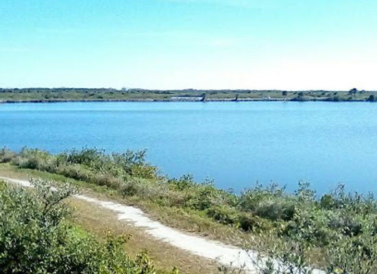 florida/space-coast/landmark/black-point-wildlife-drive