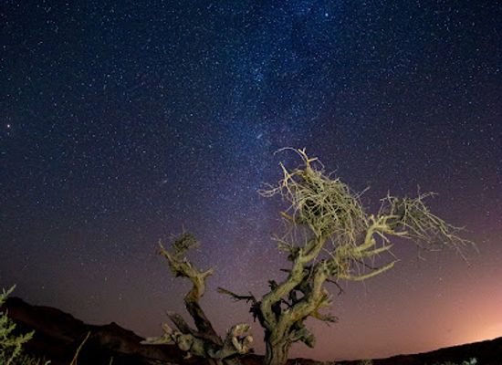 israel/arava/landmark/arava-stars