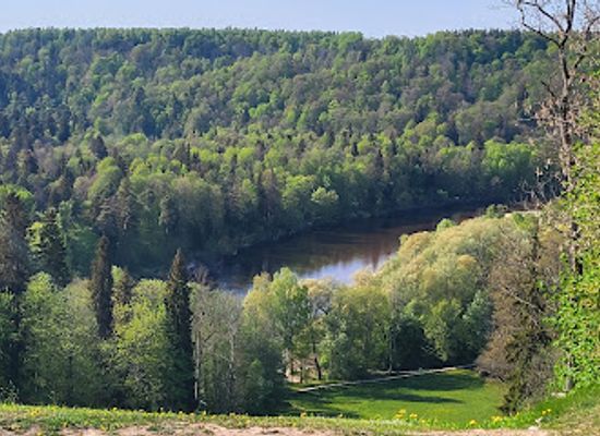 latvia/teici-nature-reserve/landmark/mezakakis