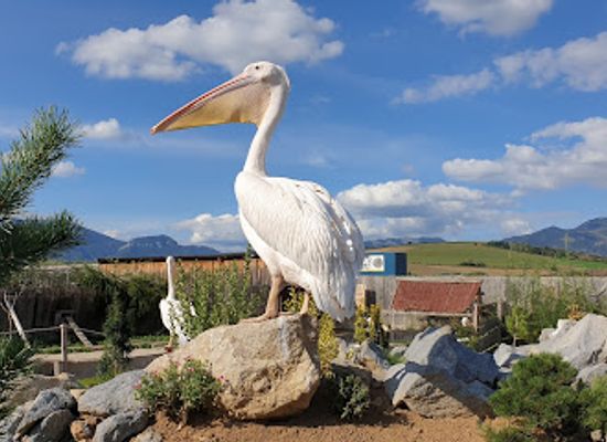 slovakia/liptov/landmark/zoo-kontakt
