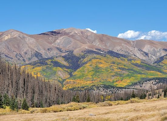 colorado/uncompahgre-plateau/landmark/old-mining-camp-in-gunnison-national-forest