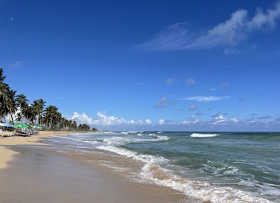 dominican-republic/punta-cana/landmark/punta-cana-jeep-safari-tours