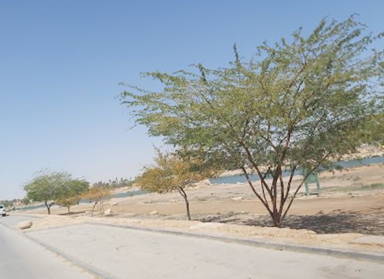 saudi-arabia/riyadh/al-batha/landmark/mntz-wdy-l-bth-bry