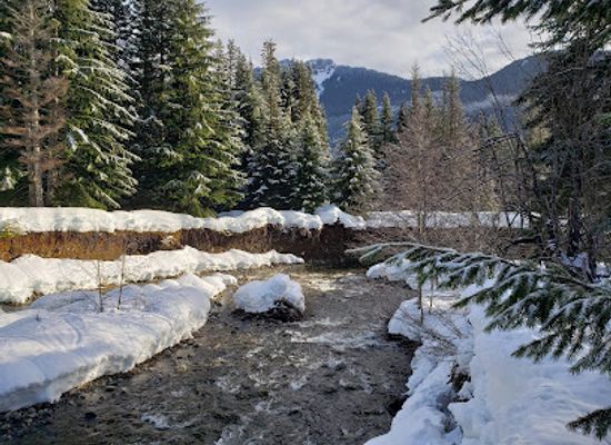 washington/snoqualmie-pass/landmark/gold-creek-sno-park