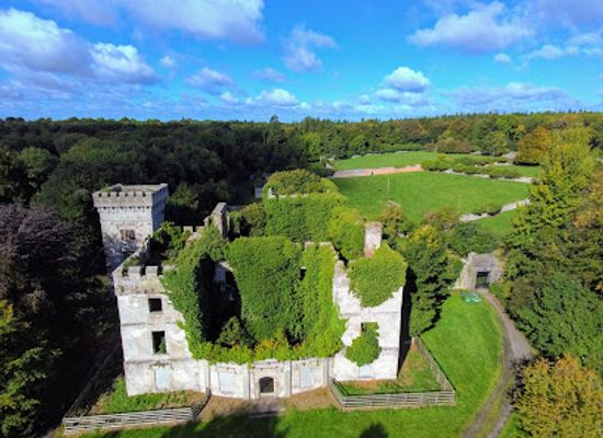 ireland/county-kildare/landmark/donadea-castle