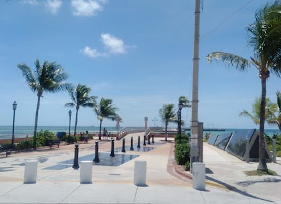 florida/key-west/landmark/indigenous-park