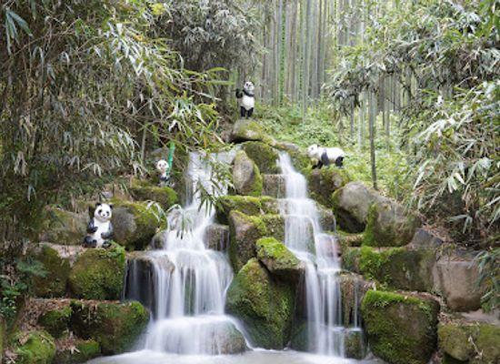 south-korea/naejangsan-national-park/landmark/juknokwon-bamboo-forest