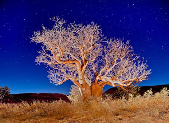 australia/the-kimberley/landmark/penney-s-prints-local-photography-and-printing-service-boutique-shopping-in-the-kimberley