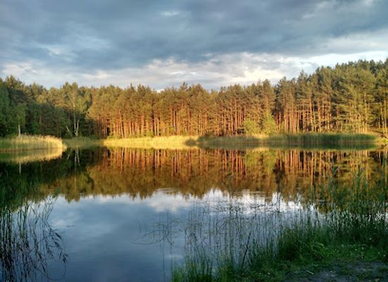 ukraine/polesia/landmark/small-polissia-national-park