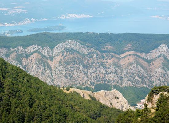 montenegro/cetinje/landmark/king-nicholas-museum