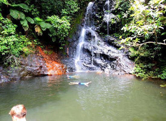 belize/cockscomb-basin-wildlife-sanctuary/landmark/cockscomb-basin-wildlife-sanctuary-day-night-hiking-guide