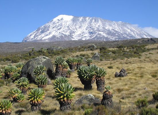 tanzania/mahale-mountains/landmark/mount-kilimanjaro-national-park