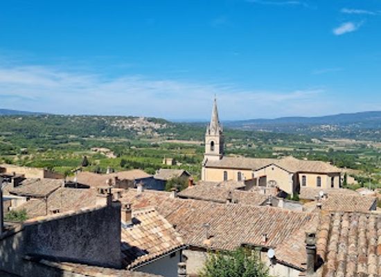 france/luberon/landmark/foret-des-cedres-du-luberon