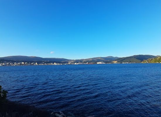 new-zealand/dunedin/landmark/otago-peninsula-new-zealand