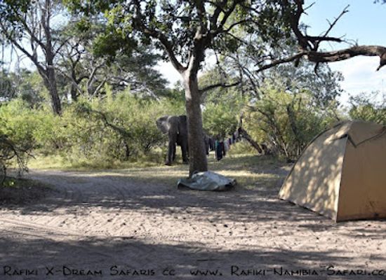 namibia/omaruru/landmark/rafiki-x-dream-safaris