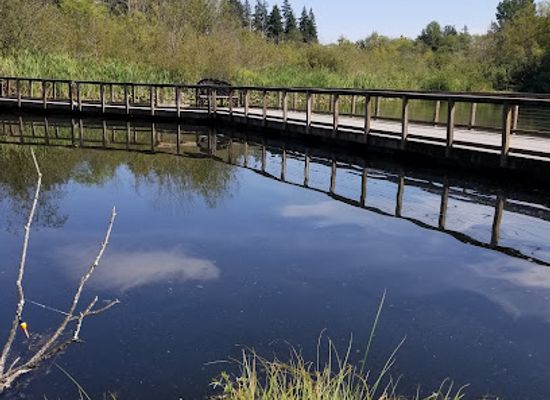 washington/lynnwood/landmark/scriber-lake-park