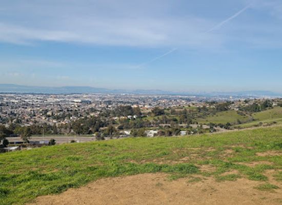 california/san-leandro/landmark/fletch-s-bench
