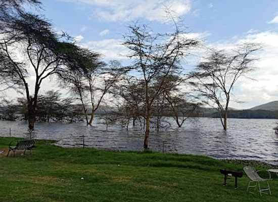 kenya/naivasha/landmark/lake-oloidien