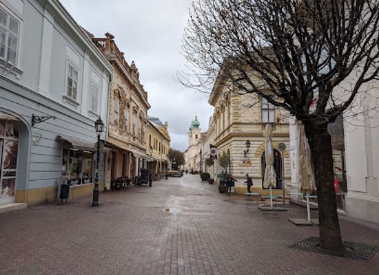hungary/pecs/landmark/vasvary-house