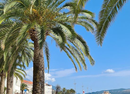 montenegro/bar-riviera/landmark/kafeterija-porto