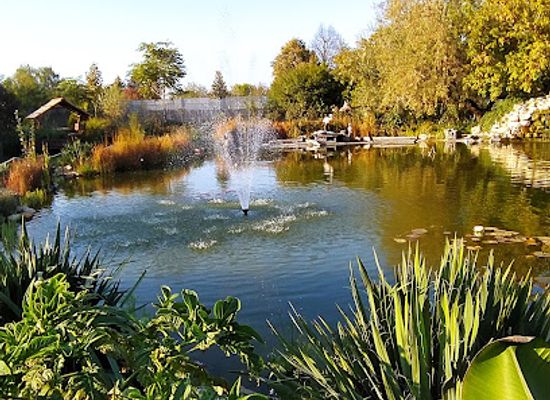 hungary/balaton-uplands-national-park/landmark/bella-zoo-park-siofok