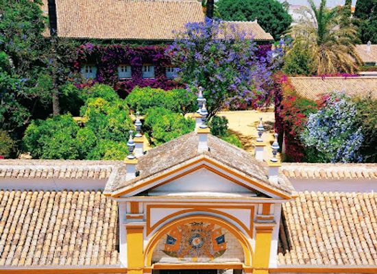 spain/andalusia/landmark/palacio-de-las-duenas