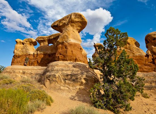 utah/henry-mountains/landmark/devils-garden