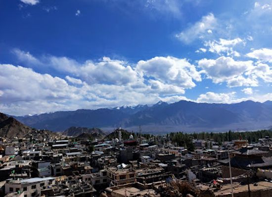 india/leh/landmark/ladakh-arts-and-media-organisation