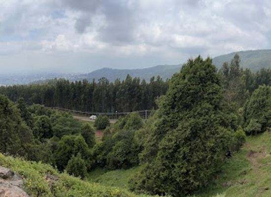 ethiopia/gurage/landmark/simienecotours