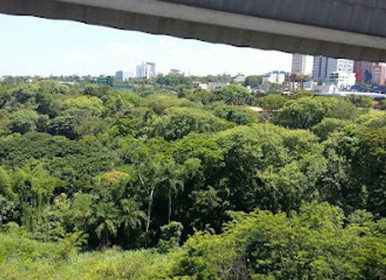 paraguay/concepcion-forest/landmark/international-friendship-bridge