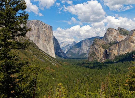 california/yosemite/landmark/artist-point-trail