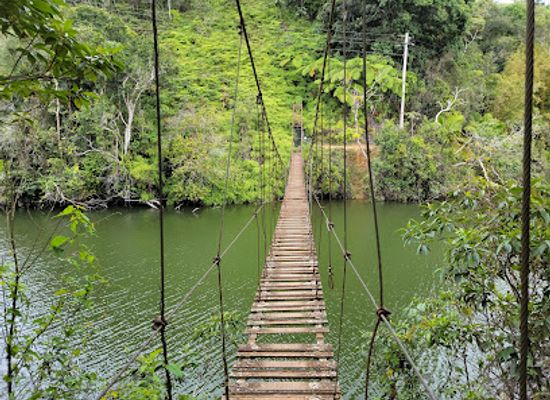 puerto-rico/big-island/landmark/puente-de-hamaca-del-lago-garzas