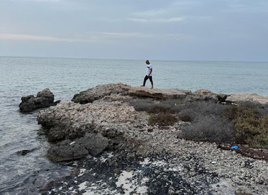 qatar/al-shamal/landmark/lost-rock