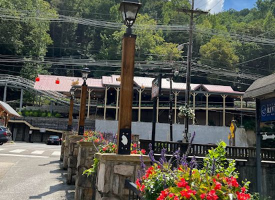 tennessee/gatlinburg/landmark/moonshine-mountain-coaster