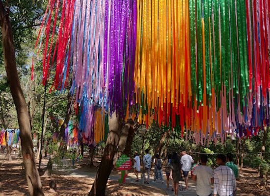 india/panaji/campal/landmark/the-art-park-campal