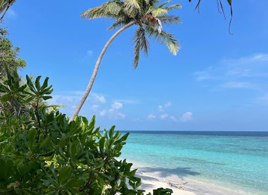 maldives/raa-atoll/landmark/kothaifaru