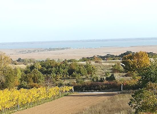 austria/burgenland/landmark/thenau-nature-reserve