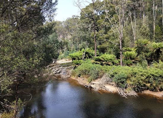 australia/mount-field-national-park/landmark/fern-glade-platypus-reserve