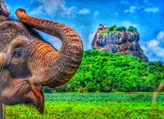 sri-lanka/dry-zone/landmark/best-stop-village-jeep-safari