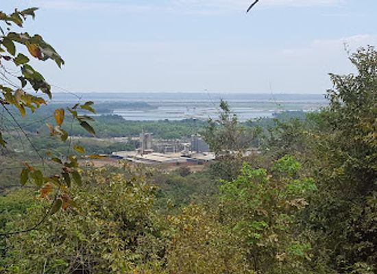 ecuador/guayas-region/landmark/bosque-protector-cerro-blanco