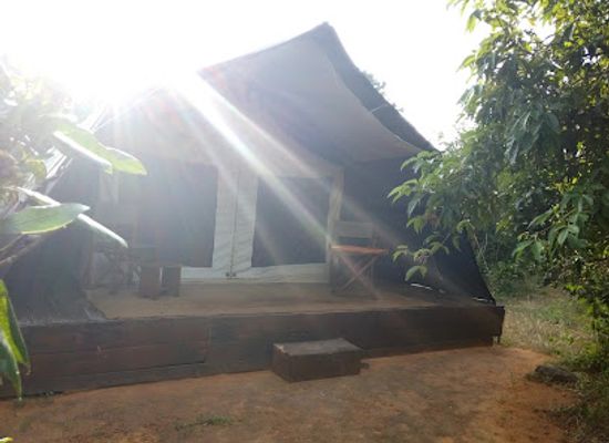 sri-lanka/yala-national-park/landmark/yala-safari-holidays