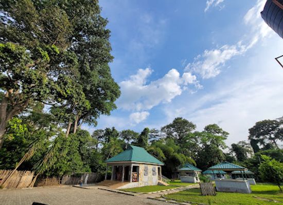 ghana/afife/landmark/tafi-atome-monkey-sanctuary-and-cultural-village