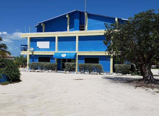 the-bahamas/bimini/landmark/thirsty-turtle
