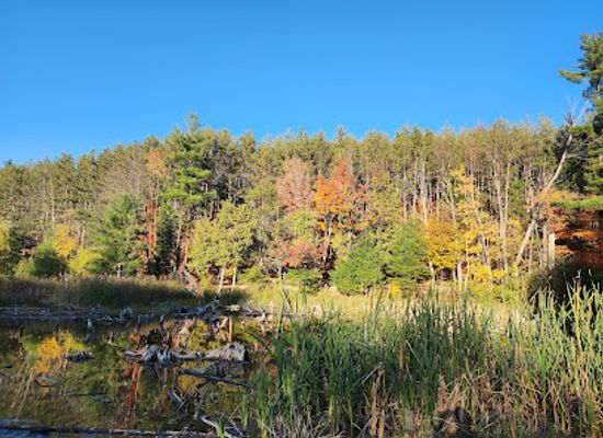 canada/parkland-region/landmark/huron-natural-area