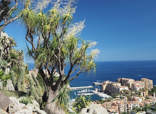 monaco/cap-d-ail-beach/landmark/exotic-garden-of-monaco