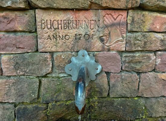 germany/heidelberg/handschuhsheim/landmark/buchbrunnen