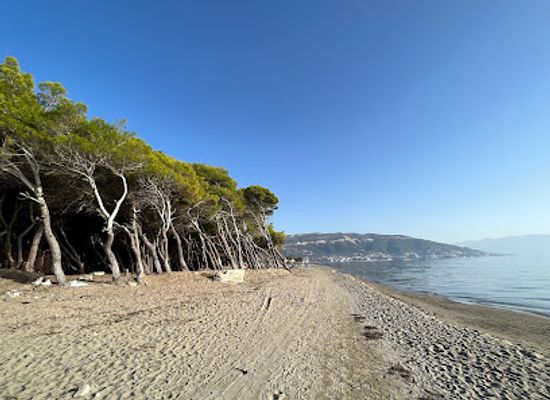 albania/vlora-coast/landmark/narta-beach