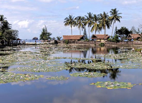 indonesia/bali/landmark/candidasa-lotus-lagoon